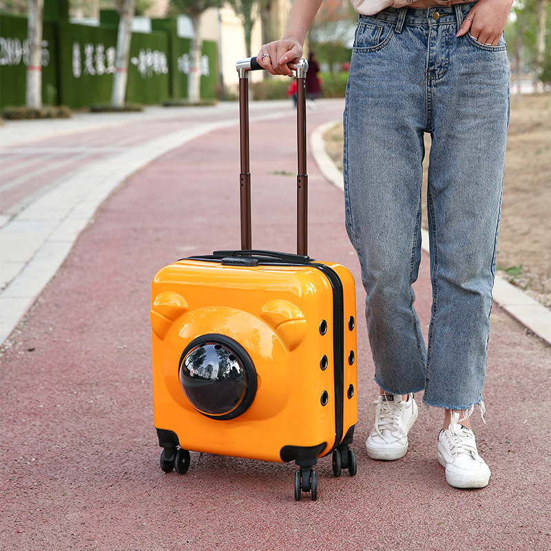 Multifunctional pet airline box for dogs